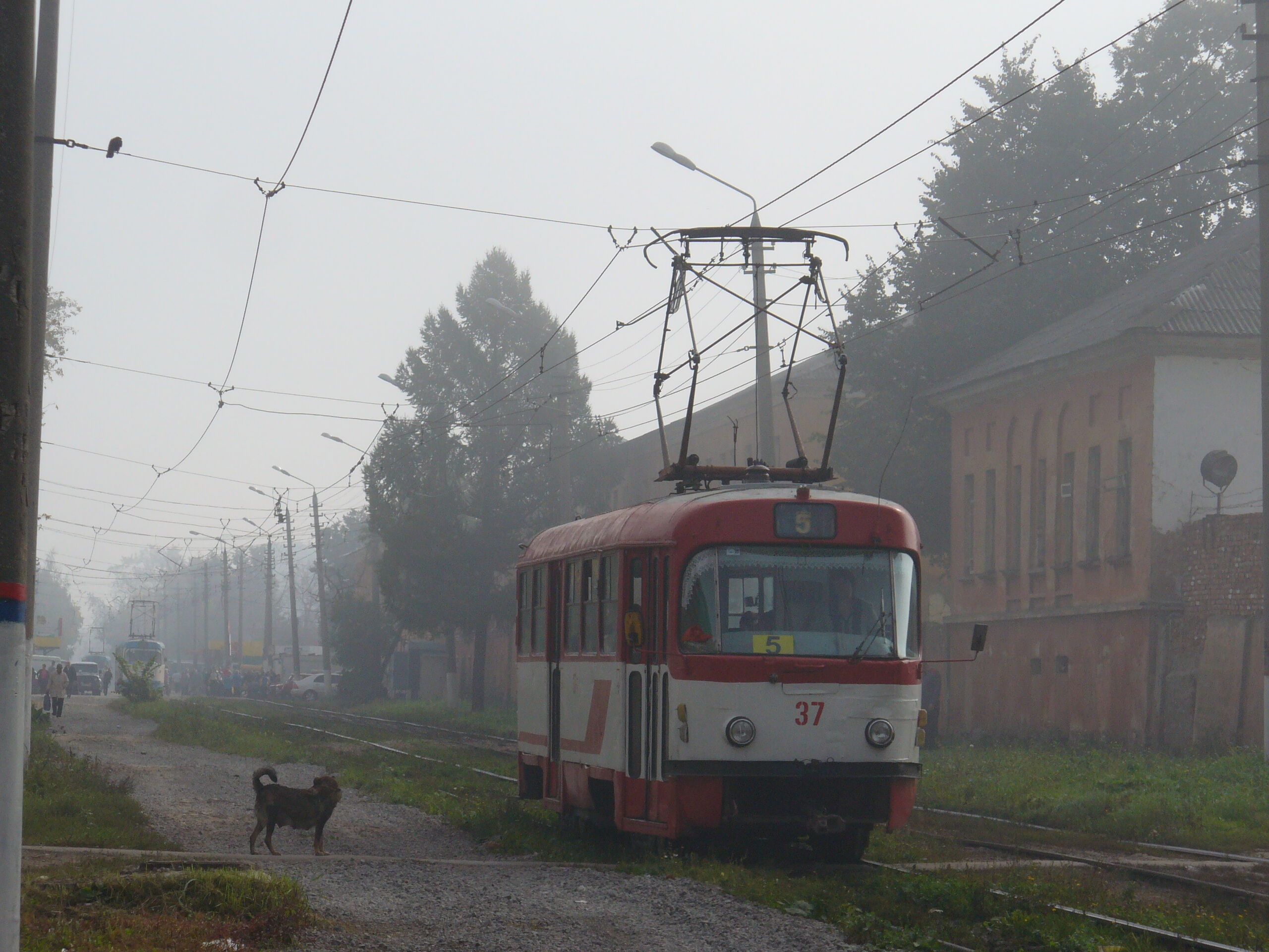 Трамвай Tatra T3 37 в туманное утро