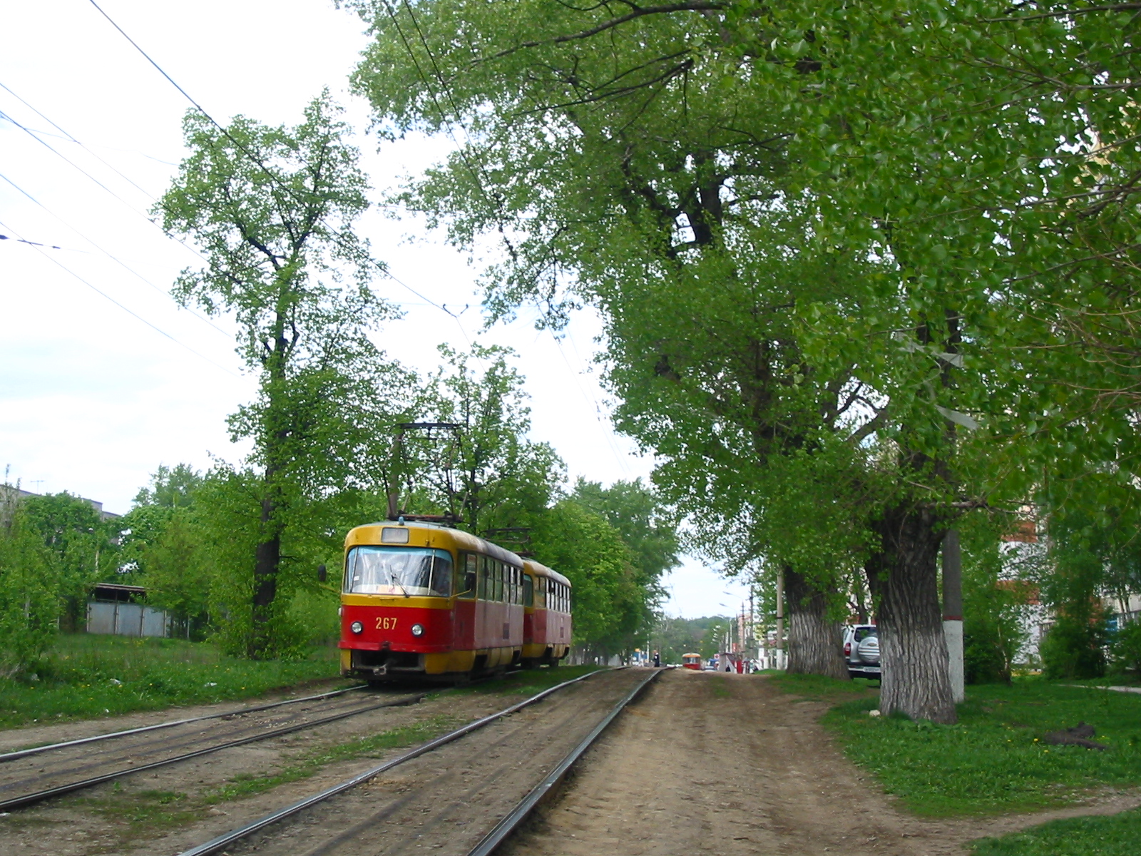 Трамвай Tatra T3 весной под зелёными деревьями