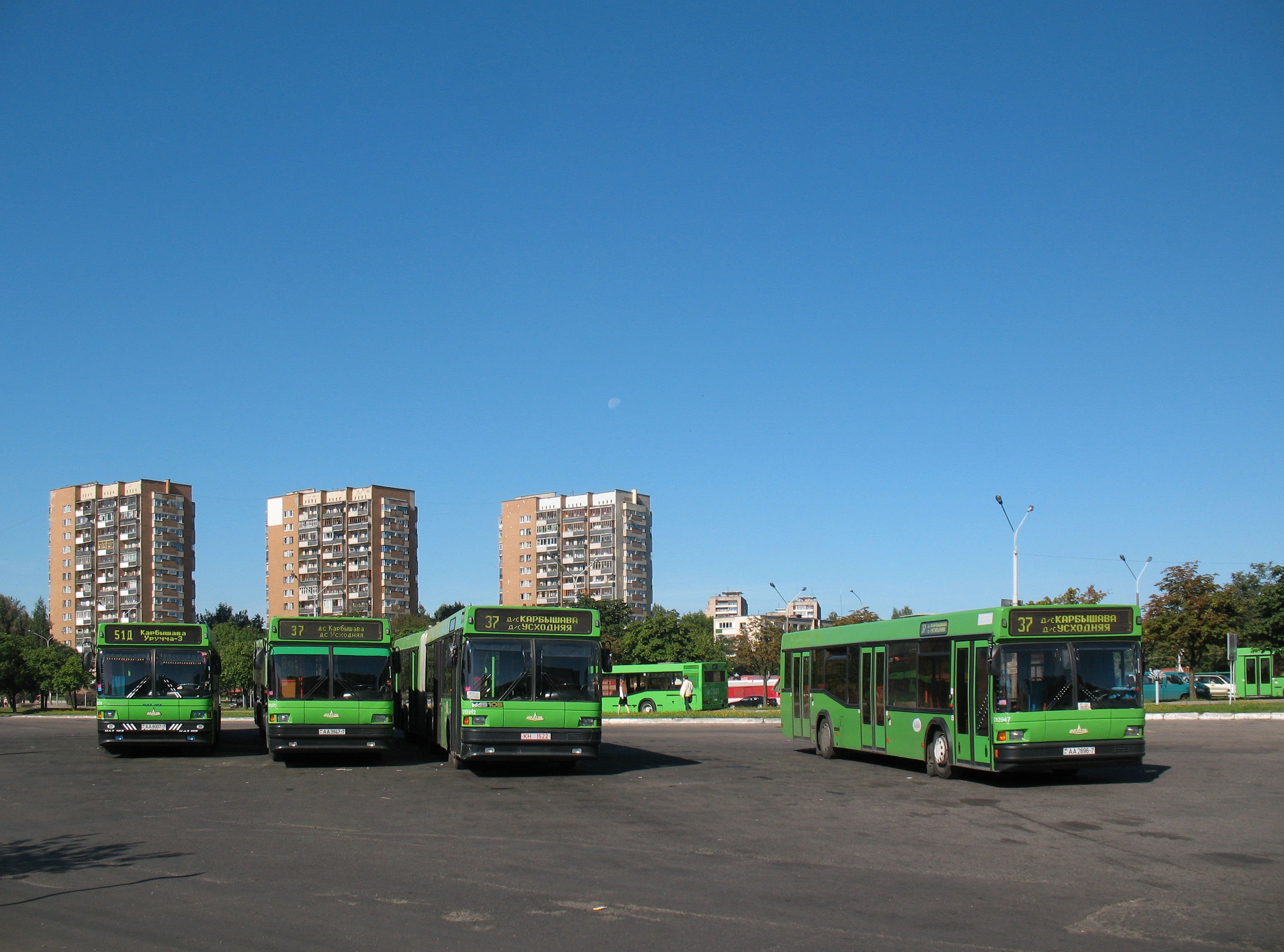 Автобусы МАЗ-103 на ДС Карбышева
