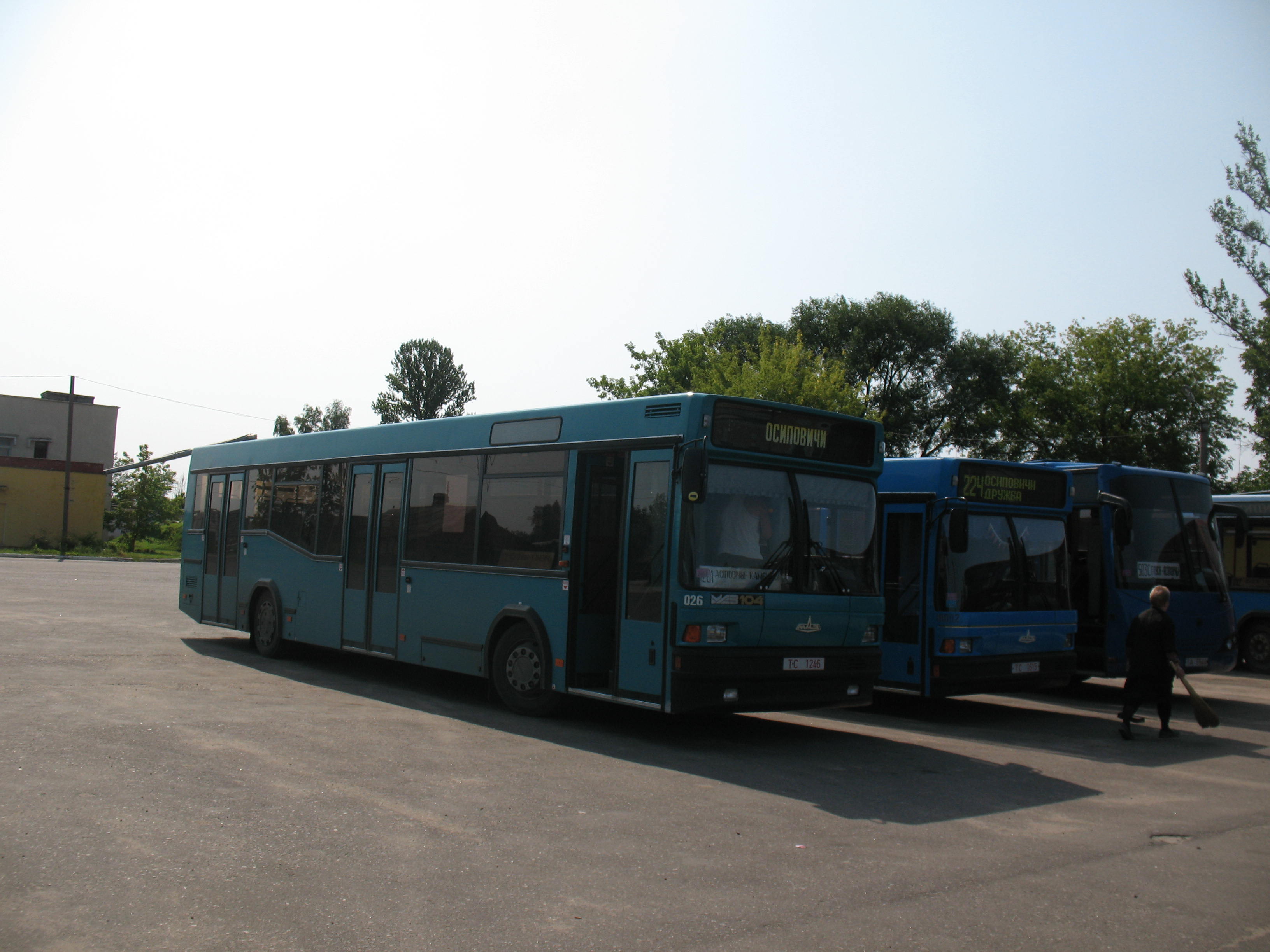 Автобус МАЗ-104 в Осиповичах